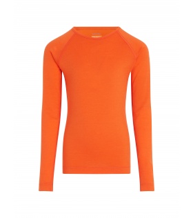 Детска Блуза Icebreaker Kid's 200 Oasis LS Crewe