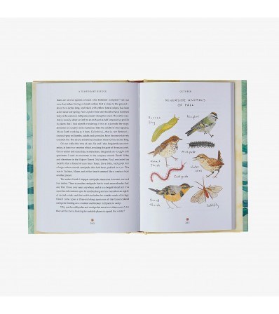 Patagonia Книга 