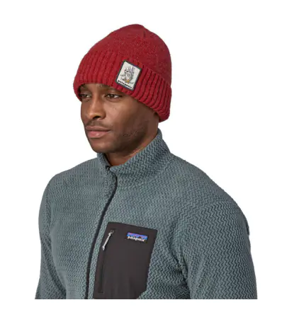 Шапка Patagonia Brodeo Beanie