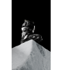 Ски обувки Phaenom freeride 100