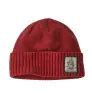 Шапка Patagonia Brodeo Beanie